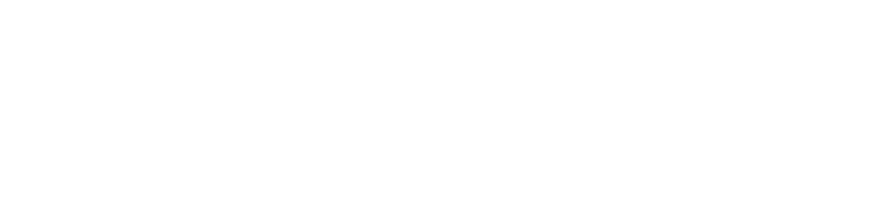 Vemara Solutions